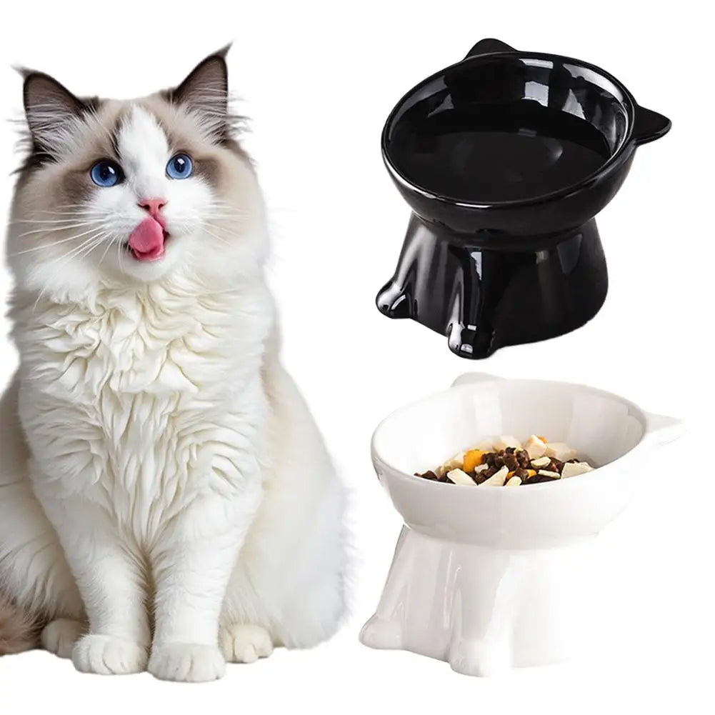 Tilted Cat & Dog Bowl – Whisker-Friendly, Non-Slip Pet Food Bowl