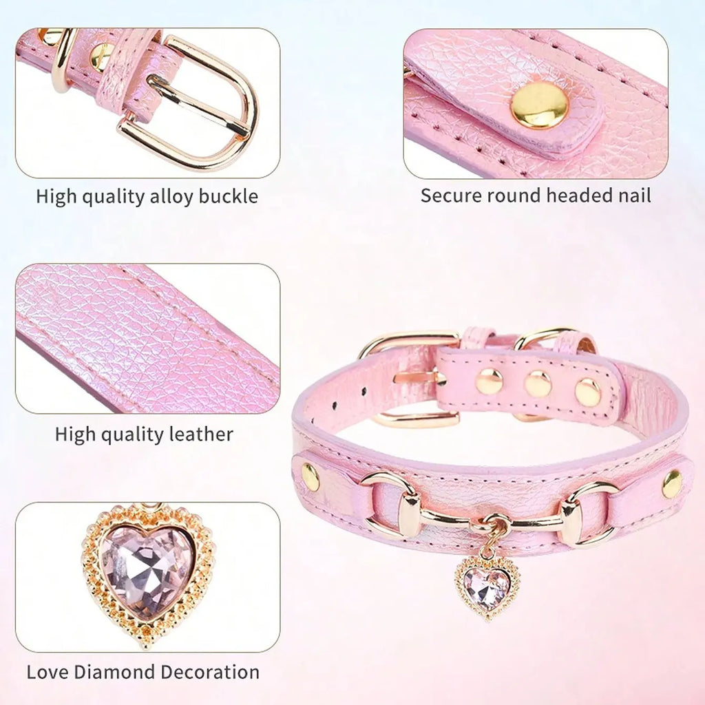 Luxury Leather Dog Collar