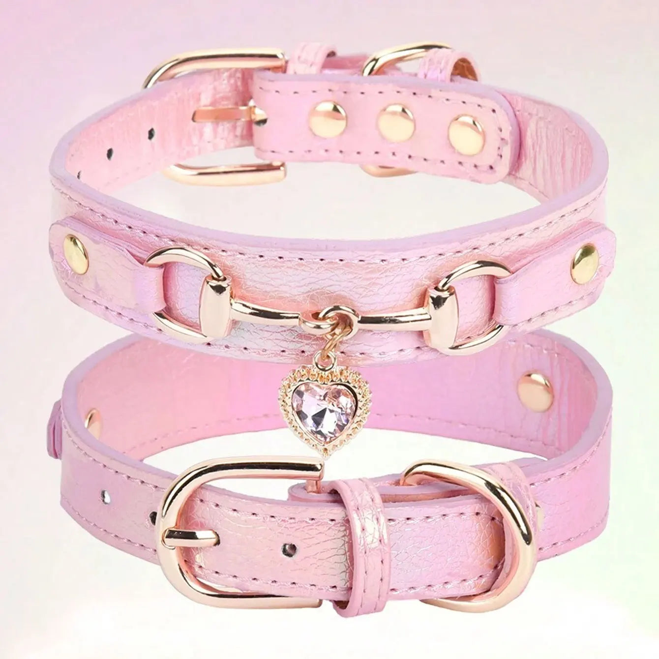 Luxury Leather Dog Collar