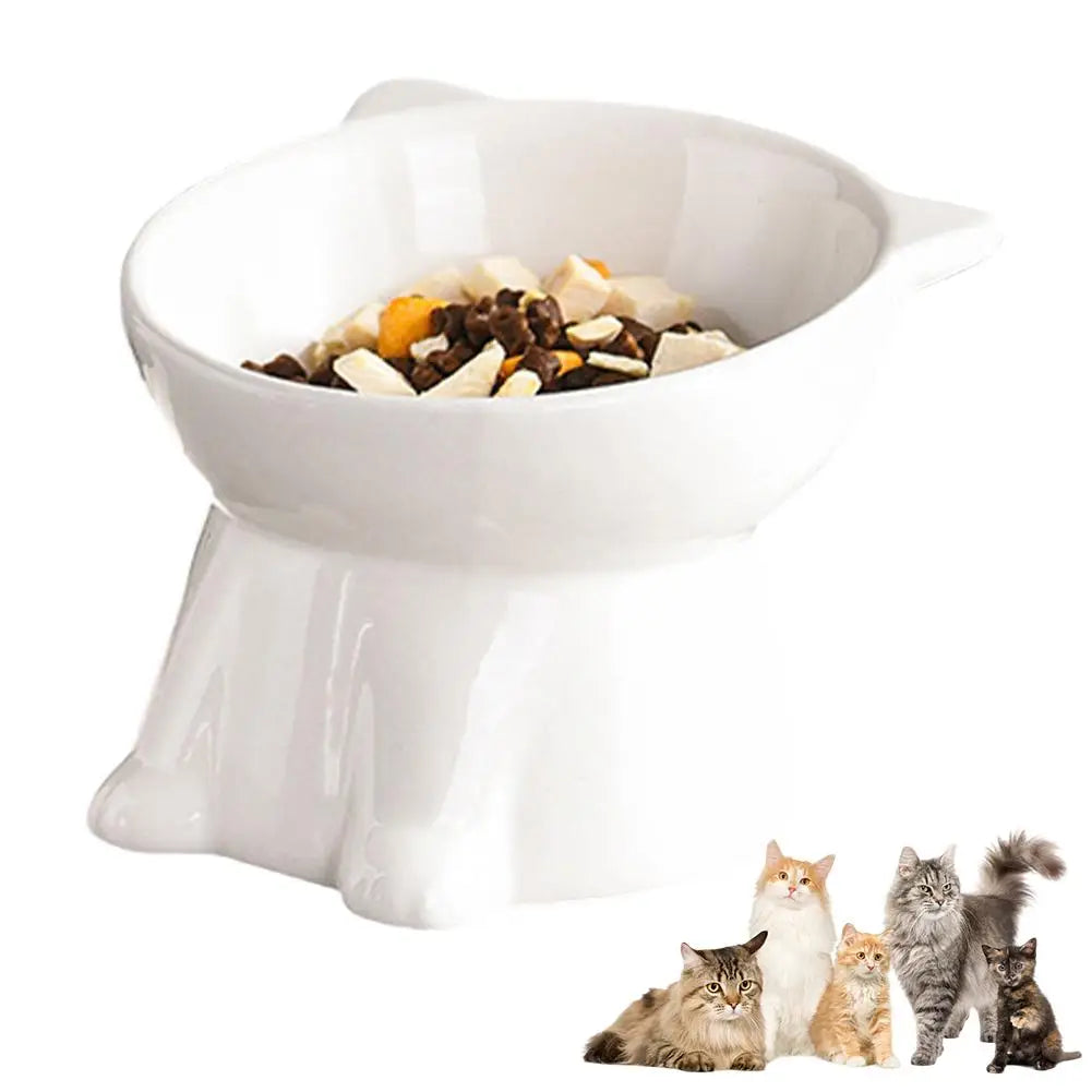 Tilted Cat & Dog Bowl – Whisker-Friendly, Non-Slip Pet Food Bowl