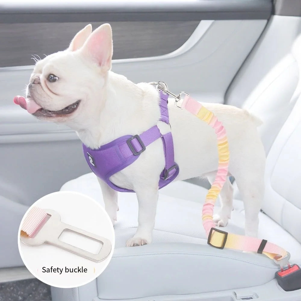 Dog Car Safety Belt