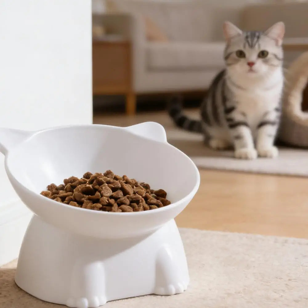Tilted Cat & Dog Bowl – Whisker-Friendly, Non-Slip Pet Food Bowl