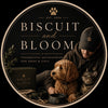 BiscuitandBloom - Home